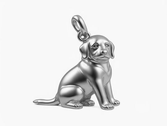 Sterling Silver Charm Version