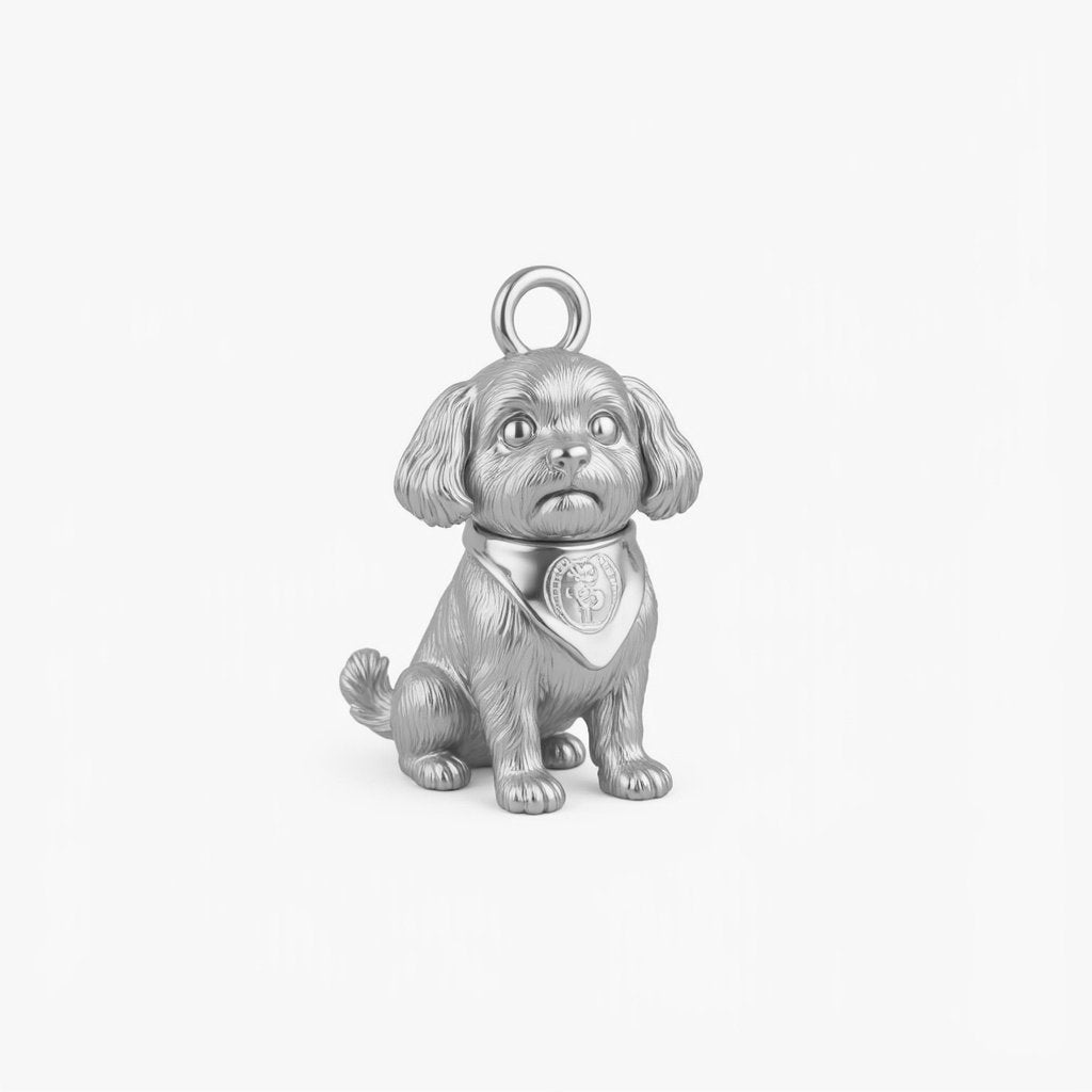 Sterling Silver Charm Version