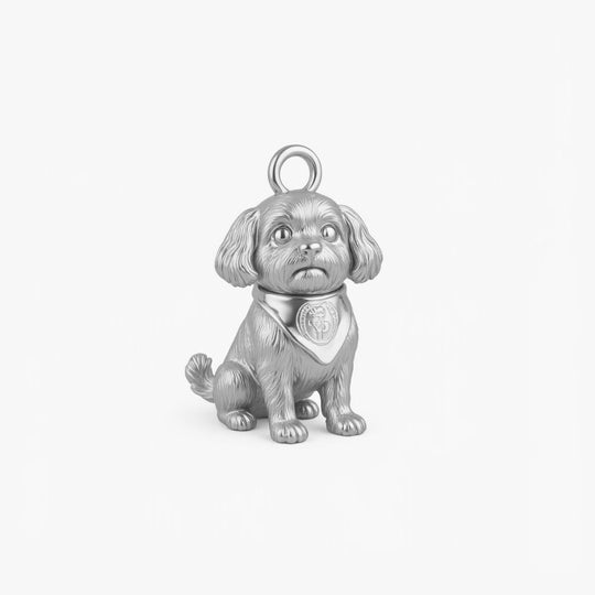 Sterling Silver Charm Version