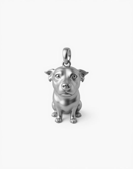Sterling Silver Charm Version