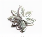 Silver Charm Version