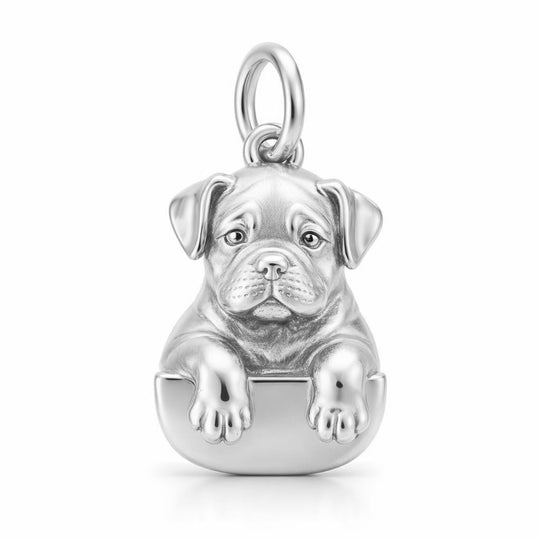 Sterling Silver Charm Version