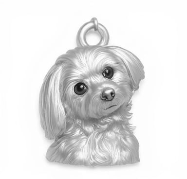 Sterling Silver Charm Version