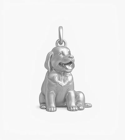 Sterling Silver Charm Version