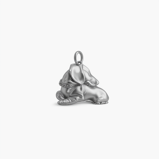 Silver Charm Version