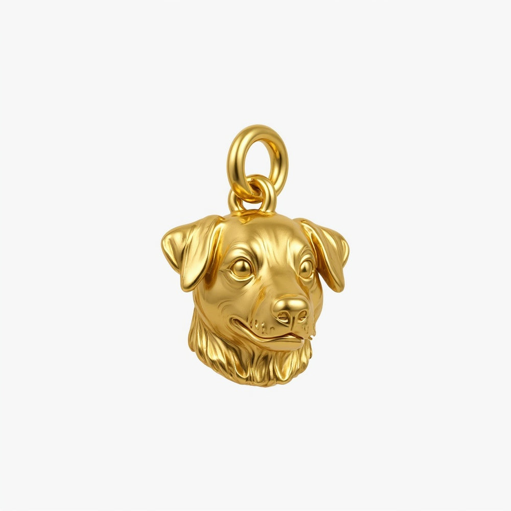 Gold Charm Version